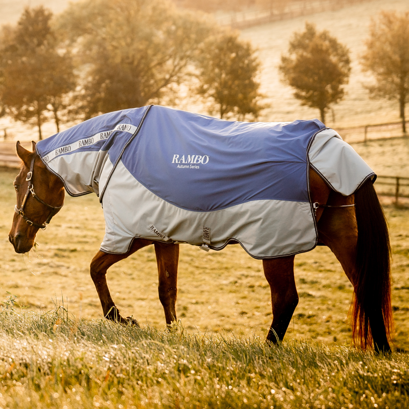 Horseware Rambo Autumn Series Detach-A-Neck Turnout Rug  - Navy/Grey-7